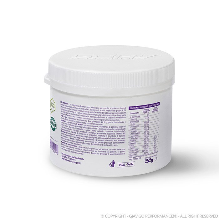 Gjav postworkout arancia 560g