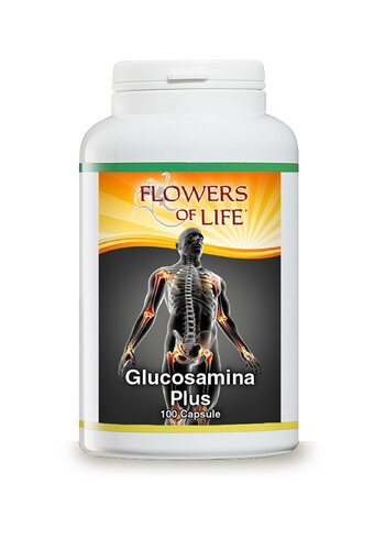 Glucosamina plus 100 capsule flowers of life