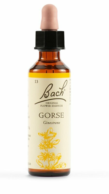 Gorse bach original 20 ml