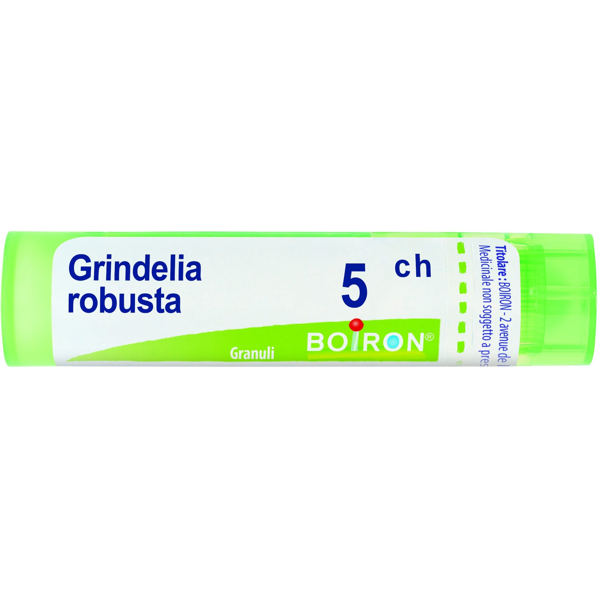 Grindelia 5ch gr