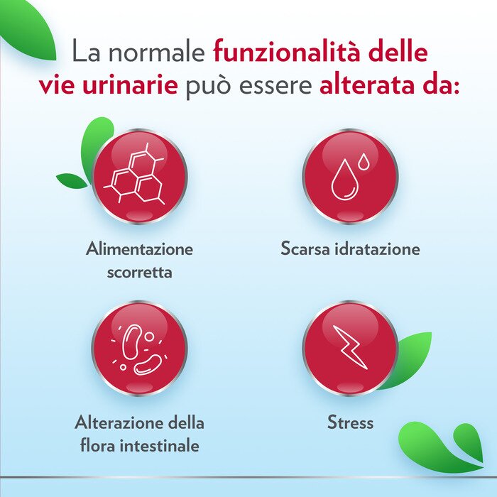 Gyno-canescystil integratore alto dosaggio di d-mannosio per benessere delle vie urinarie 14 bustine