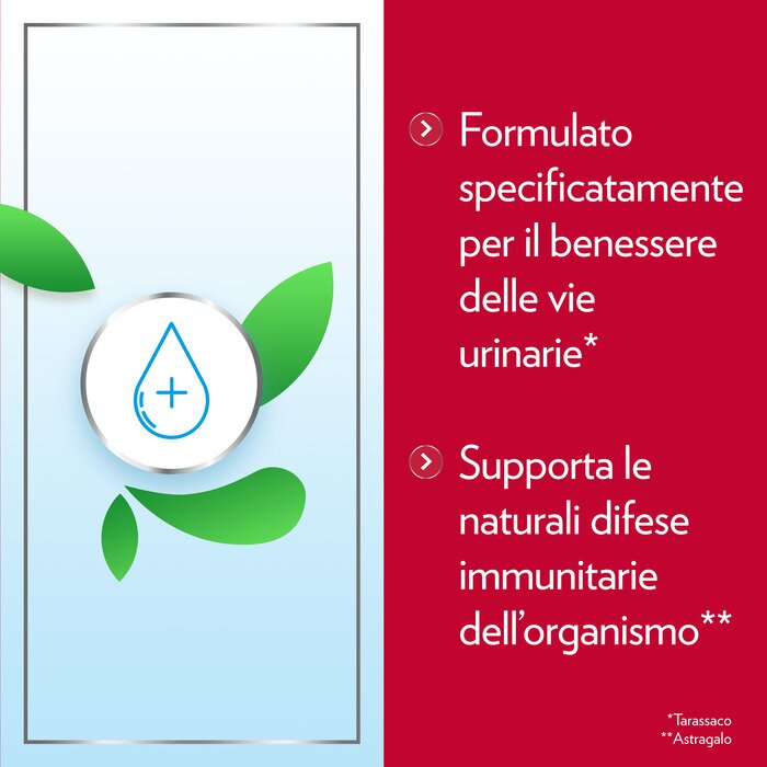Gyno-canescystil integratore alto dosaggio di d-mannosio per benessere delle vie urinarie 14 bustine