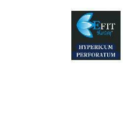 Hypericum perforatum estratto fluido 30 ml