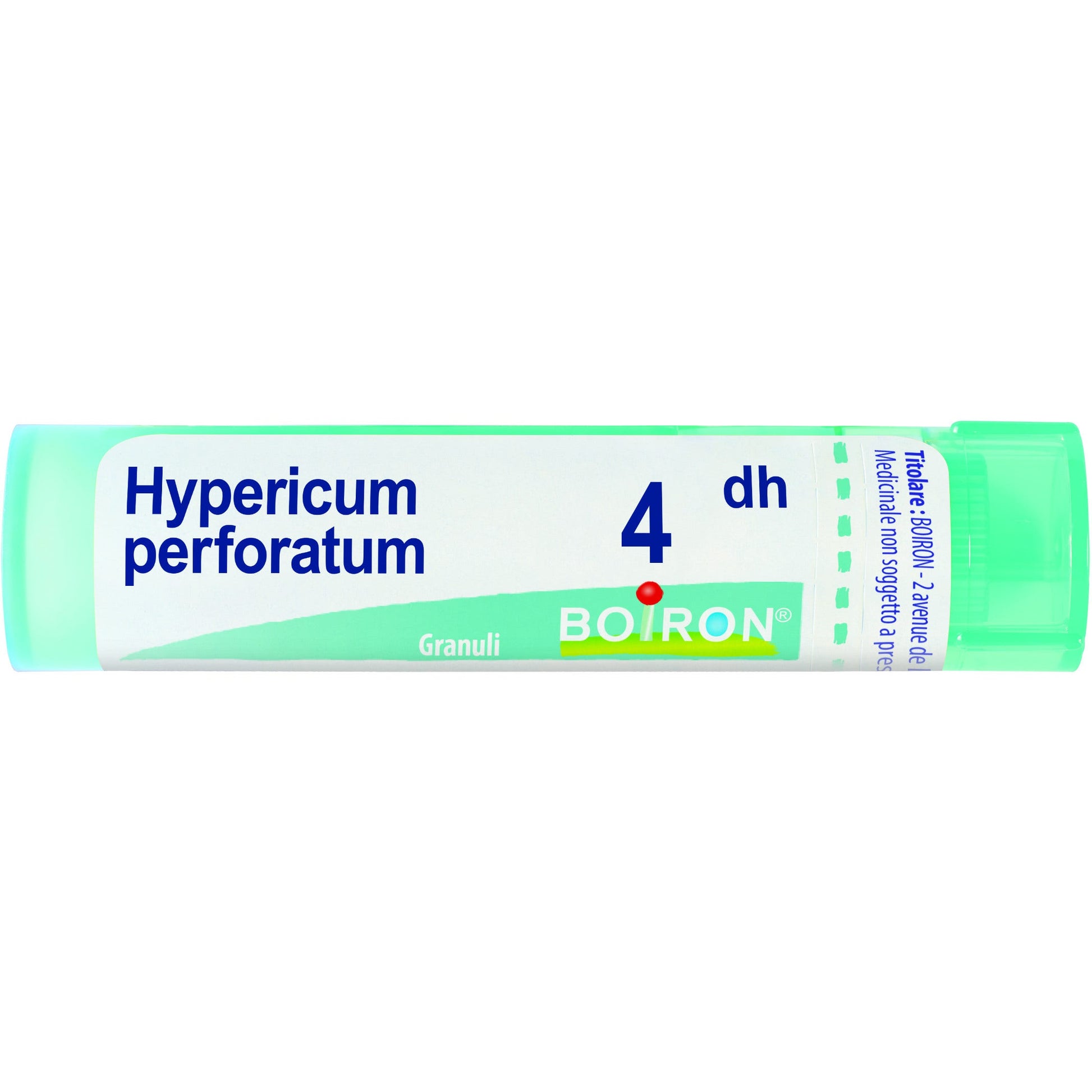 Hypericum perfusione 4dh gr