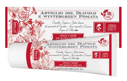 I rimedi di helan artiglio diavolo wintergreen pomata 75 ml