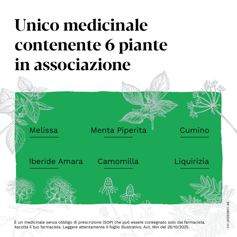 Iberogastadvance gocce orali liquido 1 flacone in vetro da 50 ml con applicatore contagocce