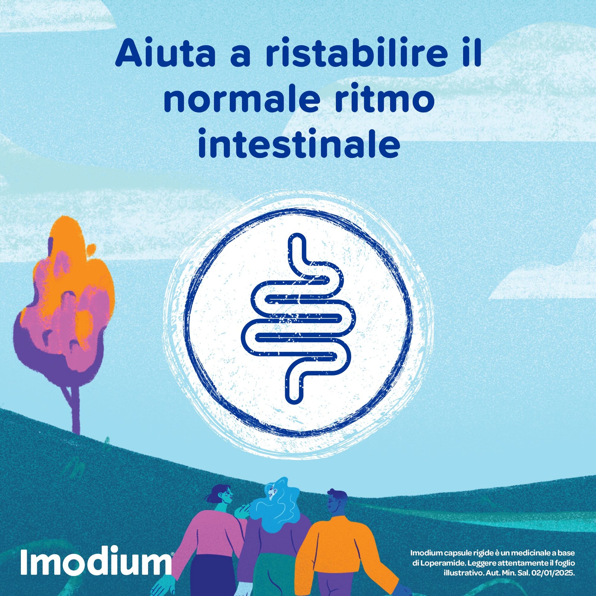 Imodium 12 capsule 2mg