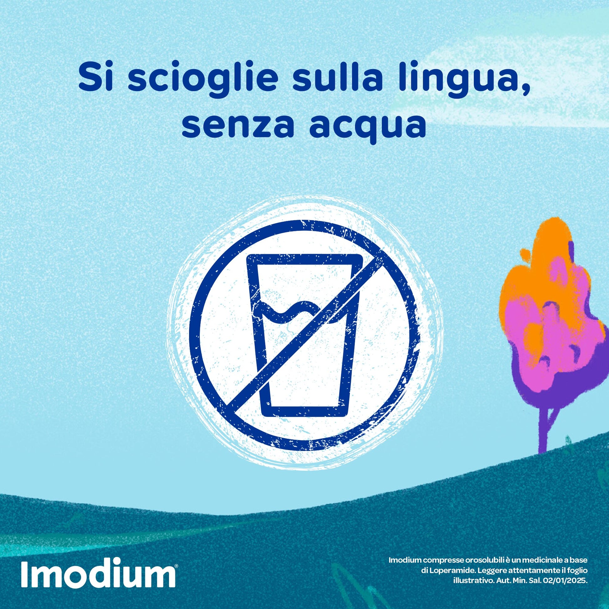 Imodium 2 mg Contro Diarrea 12 Compresse Orosolubili