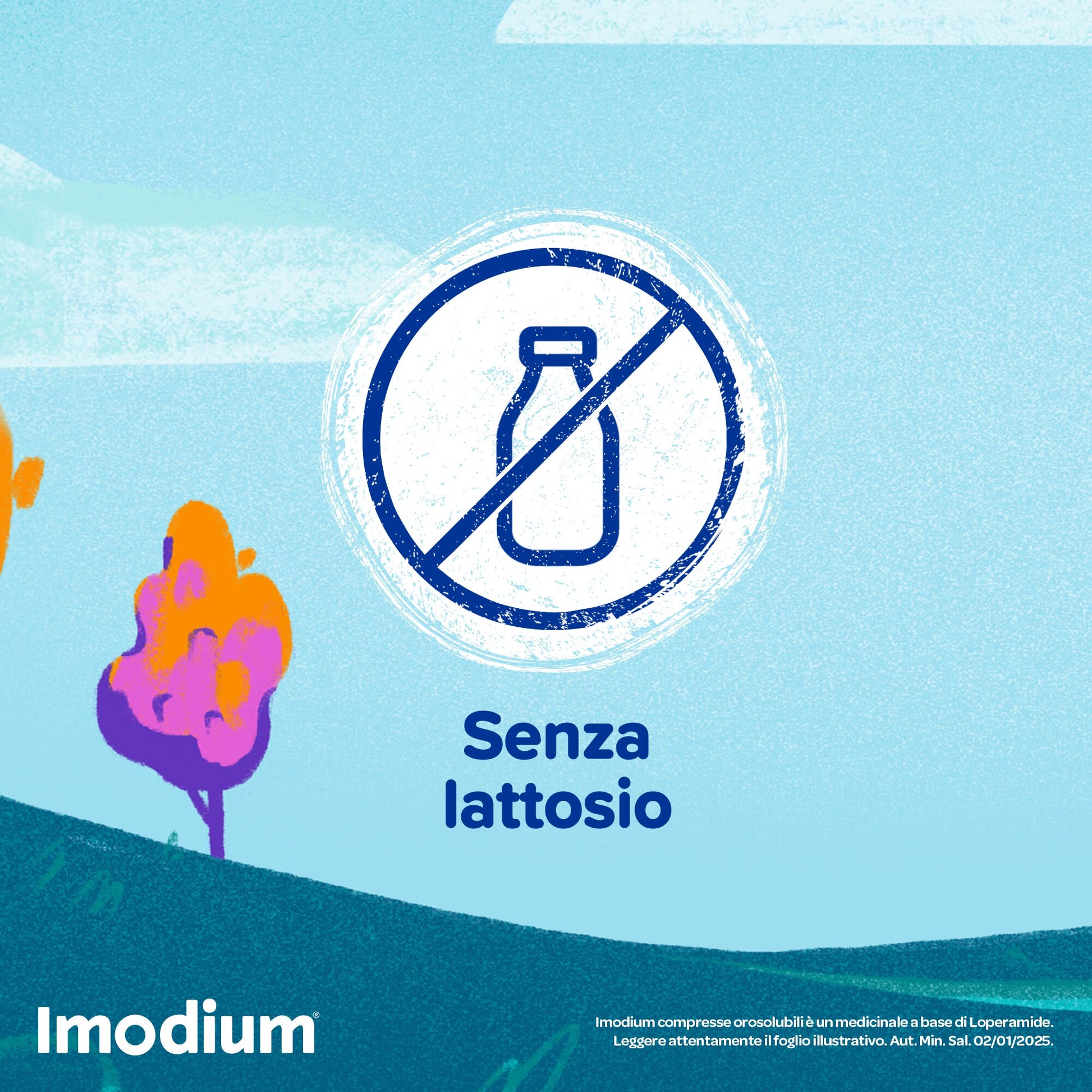 Imodium 2 mg Contro Diarrea 12 Compresse Orosolubili