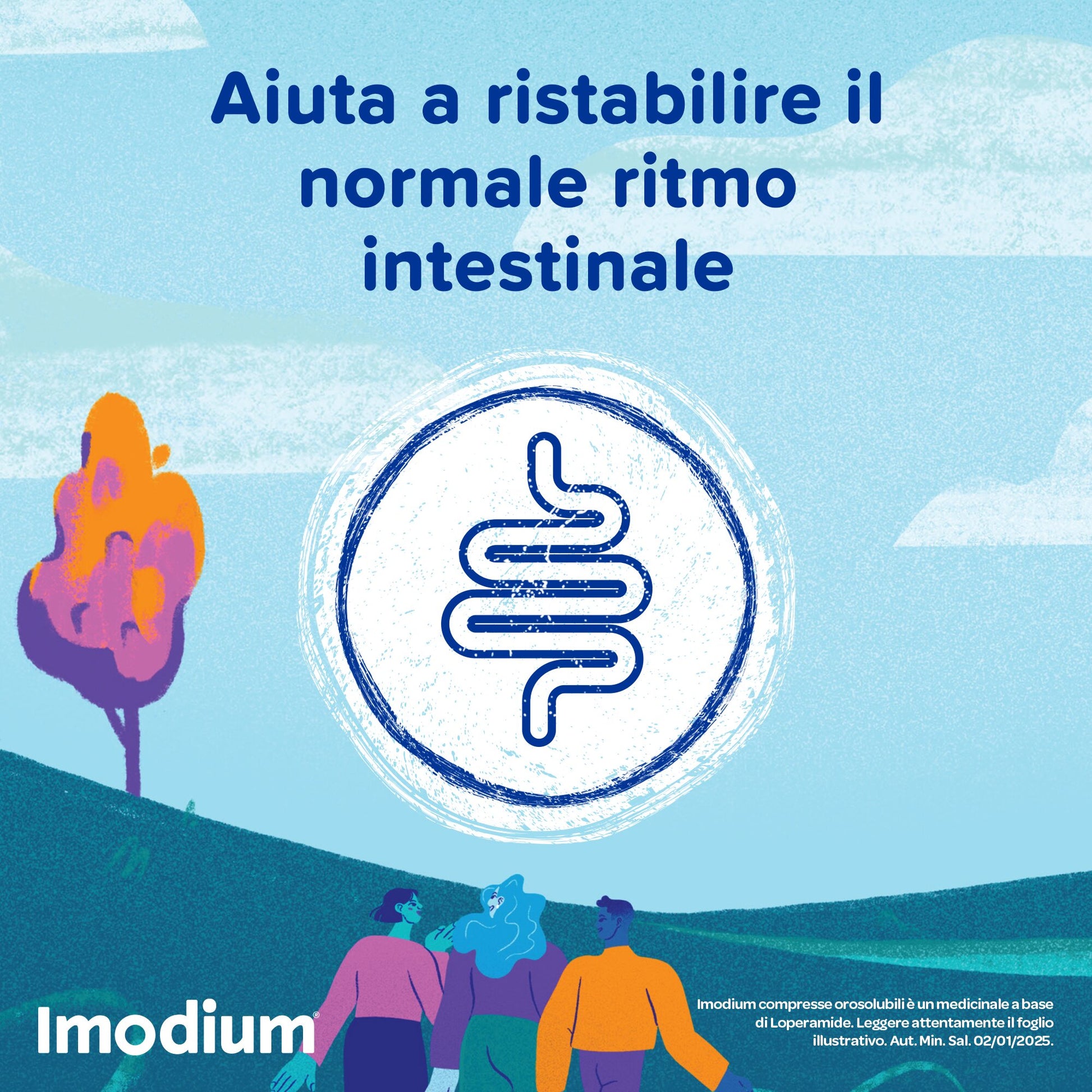 Imodium 2 mg Contro Diarrea 12 Compresse Orosolubili