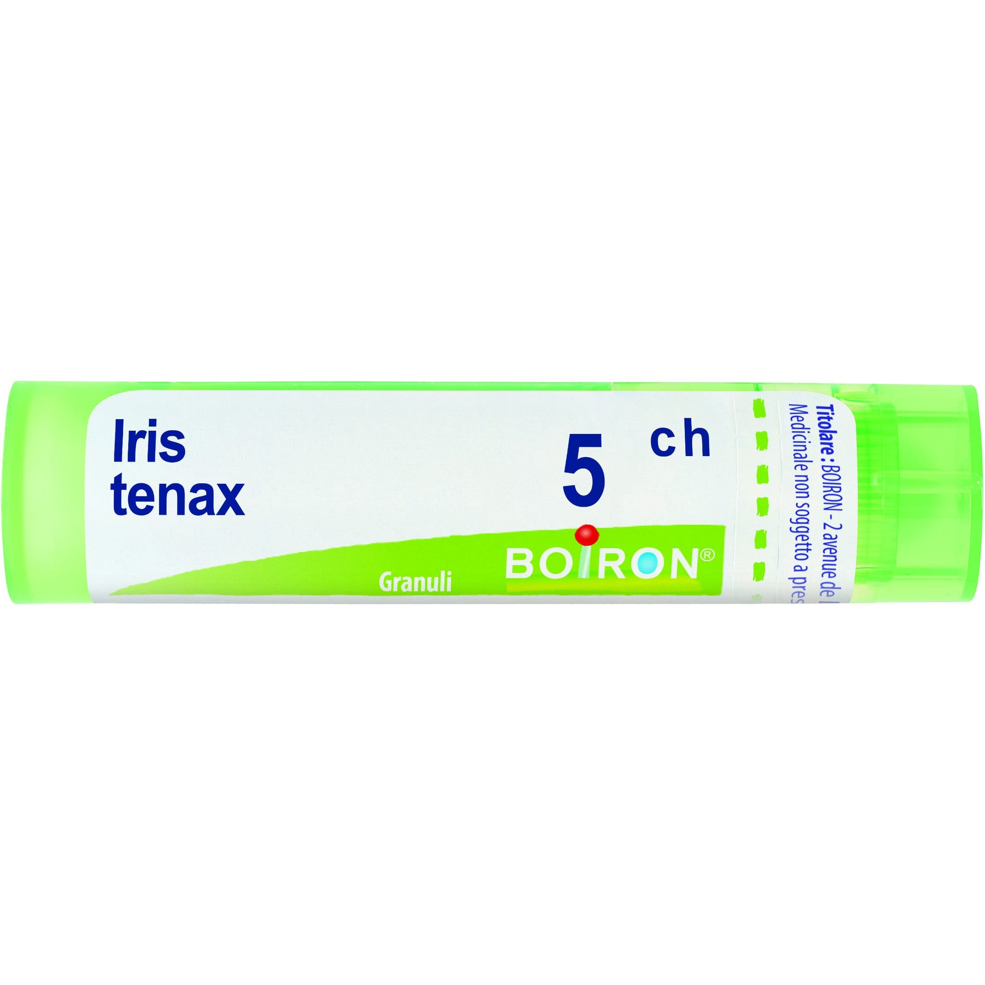Iris tenax 5ch gr