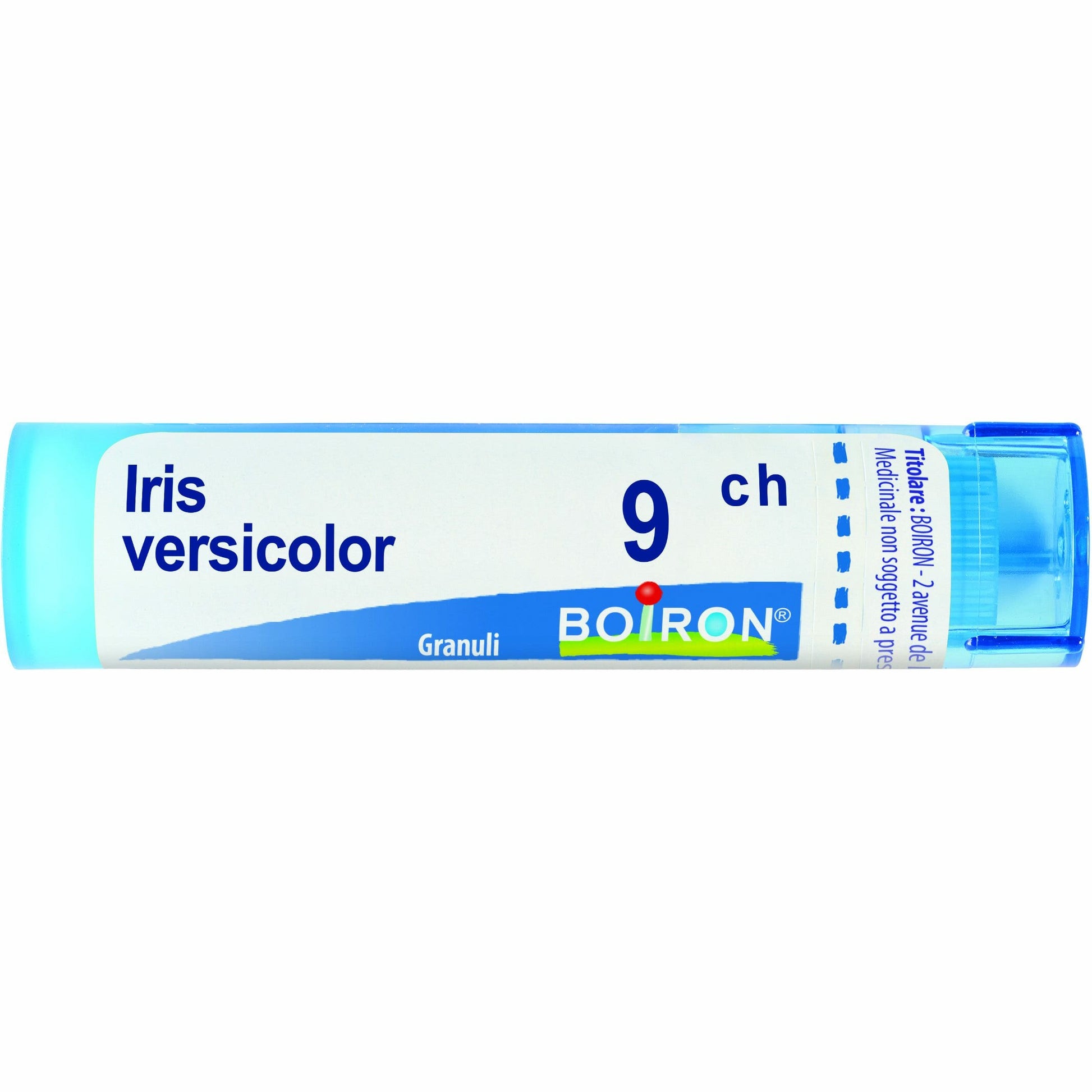 Iris versicolor 9ch 80gr 4g
