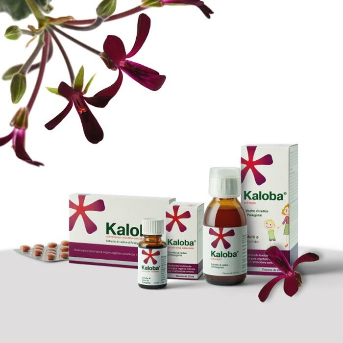 Kaloba Raffreddore 21 Compresse Rivestite