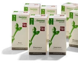 Kiwi 50ml mg
