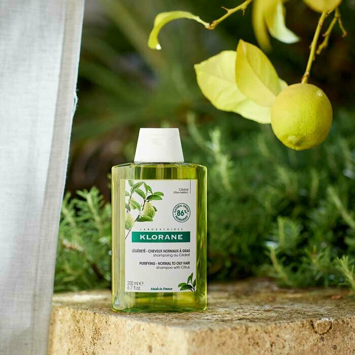 Klorane Shampoo al Cedro Capelli Normali a Grassi 200 ml