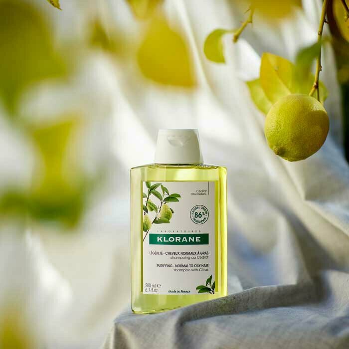 Klorane Shampoo al Cedro Capelli Normali a Grassi 200 ml