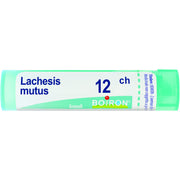 Lachesis mut 12ch gr