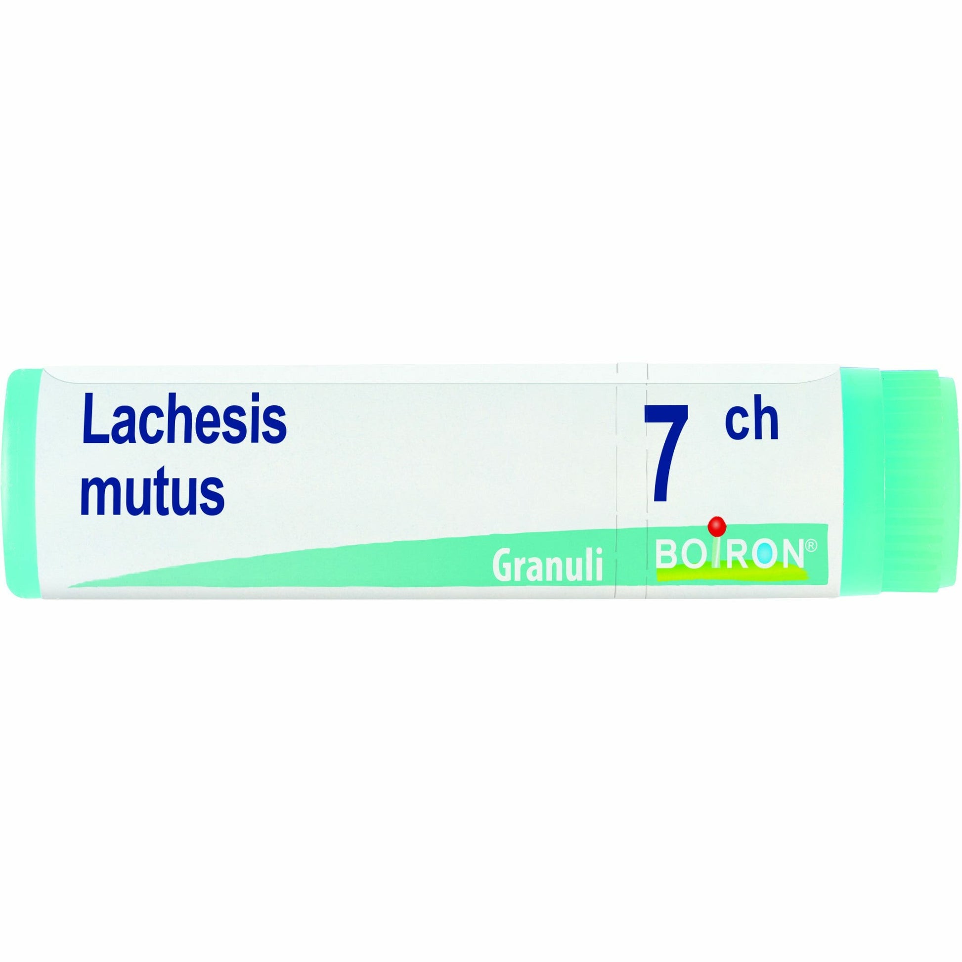 Lachesis mutus 7ch globuli