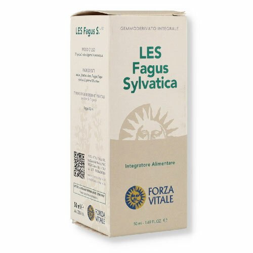 Les fagus silvatica gocce 50 ml