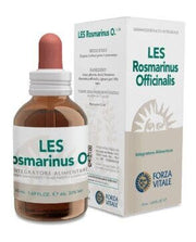 Les rosmarino officinalis gocce