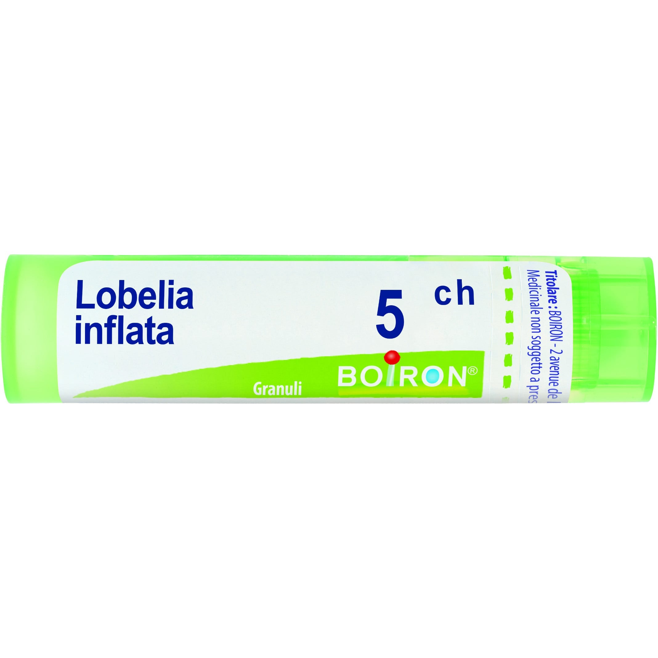Lobelia infl boi 5ch 80gr 4g