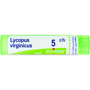 Lycopus boi 5ch 80gr 4g