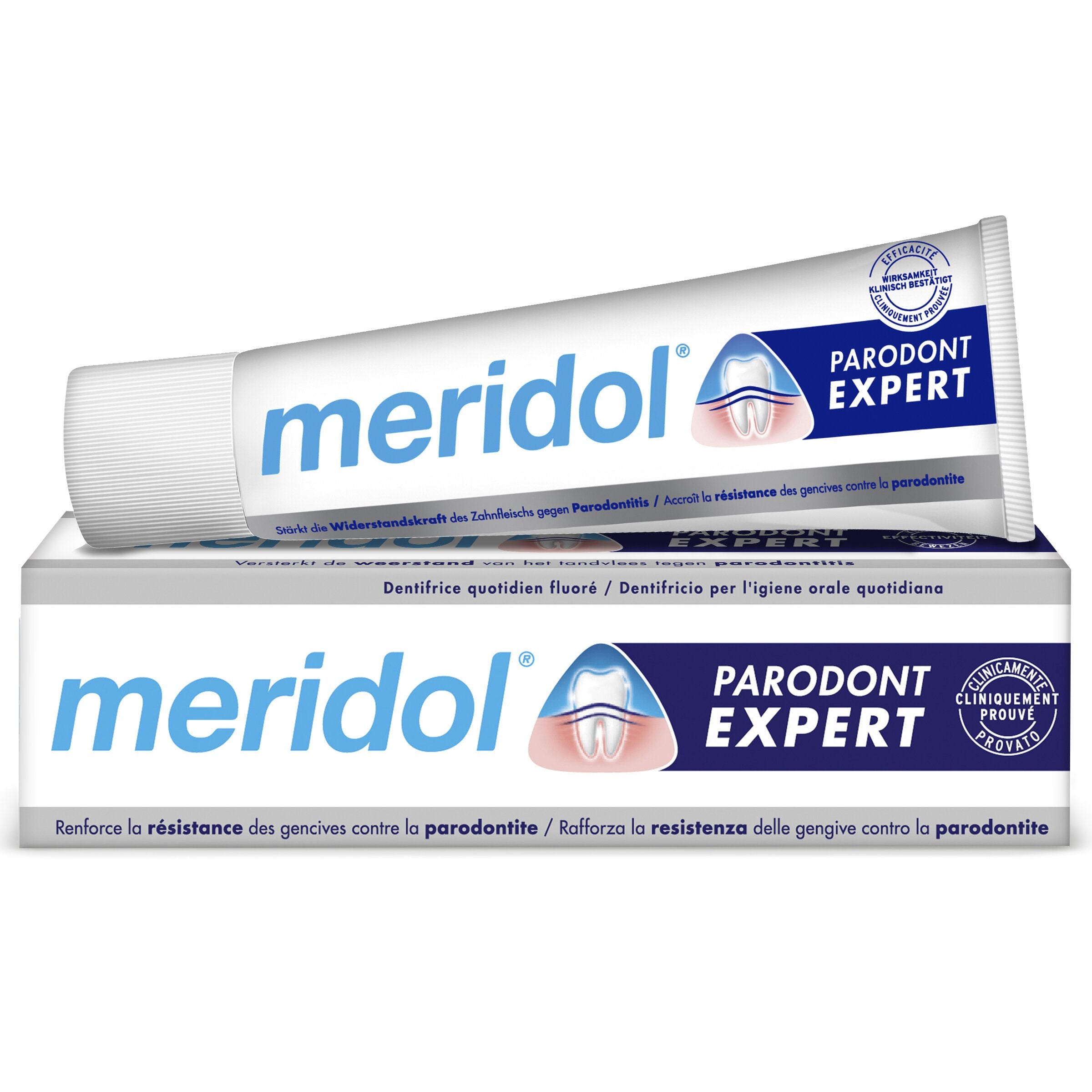 Meridol Dentifricio Parodont Expert Protezione Gengive 75 ml