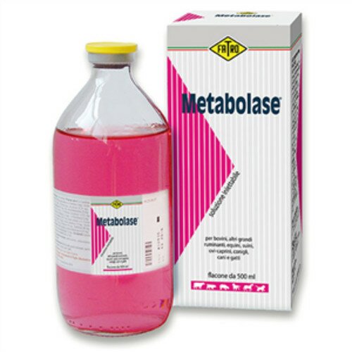 Metabolase ev sottocutaneo en soluzione 1 flacone 500 ml