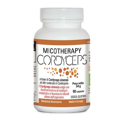 Micotherapy cordyceps 90 capsule