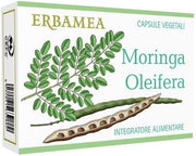 Moringa oleifera 24cps