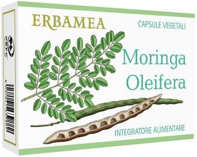 Moringa oleifera 24cps