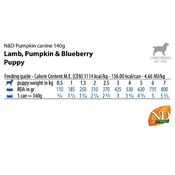 N&D Wet Pumpkin Cane Cucciolo Mangime Agnello e Mirtillo 140 g