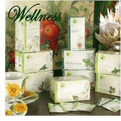 Neuners tisana energia vitalita' bio 20 bustine