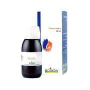 Olea europaea 60ml tintura madre