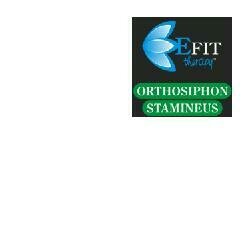 Orthosiphon stamineus estratto fluido 30 ml