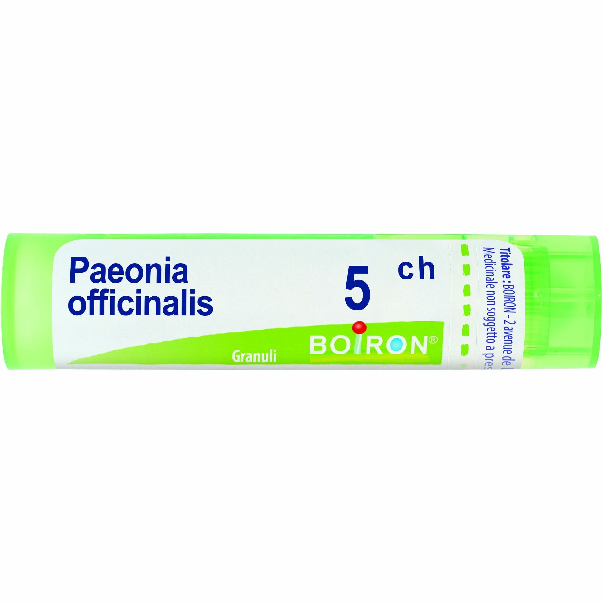 PAEONIA OFFICINALIS*5CH 80GR