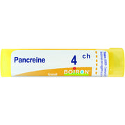 Pancreas 4ch gr