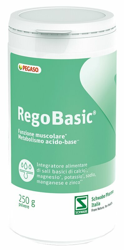 Pegaso Regobasic Polvere 250 G