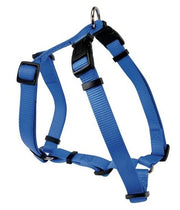 Pettorina 6 dr 25 mm 02