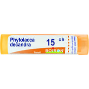 Phytolacca de boi 15ch 80gr