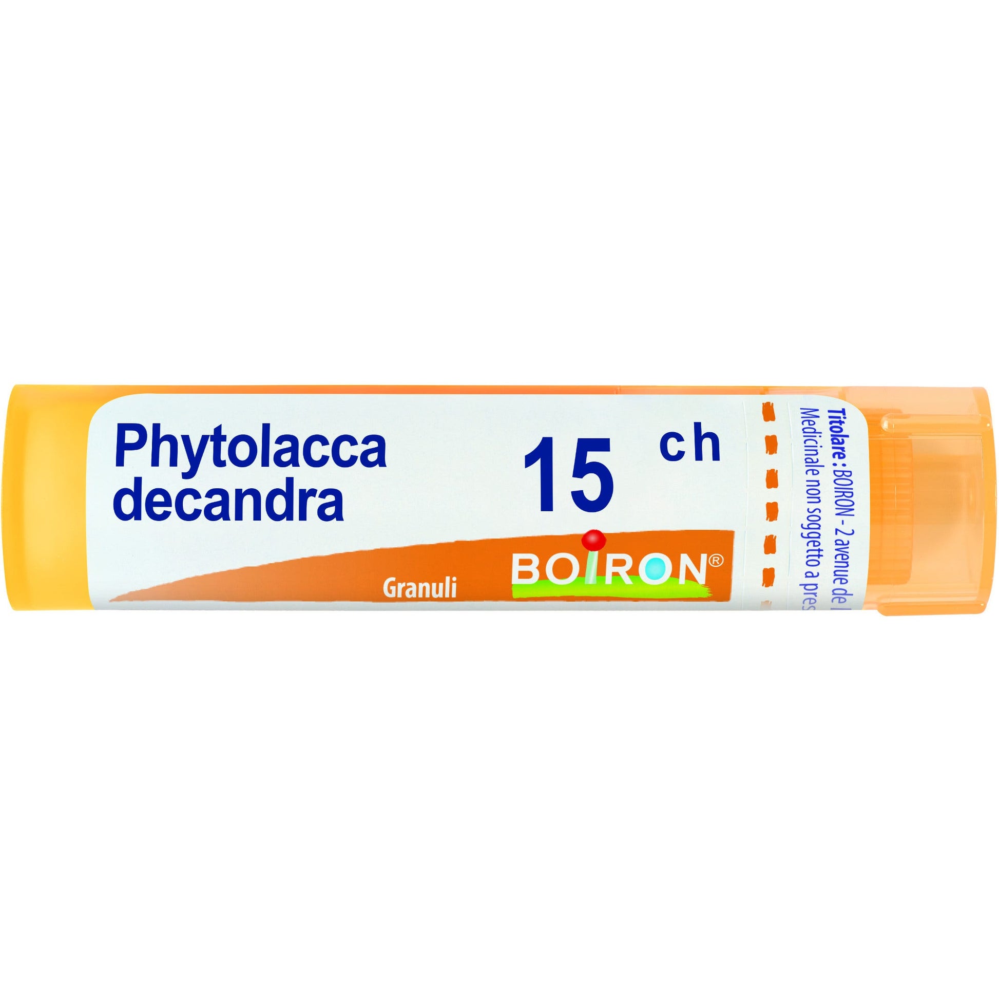 Phytolacca de boi 15ch 80gr