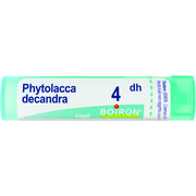 Phytolacca de boi 4dh 80gr