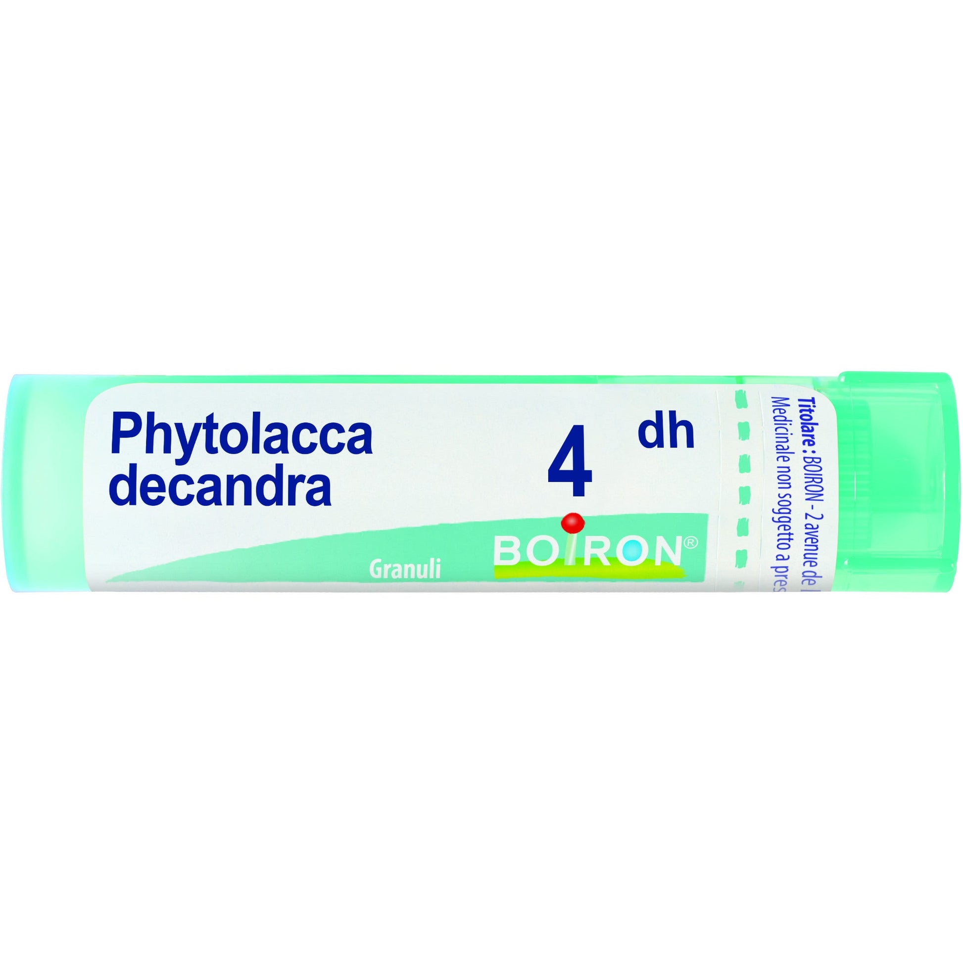 Phytolacca de boi 4dh 80gr