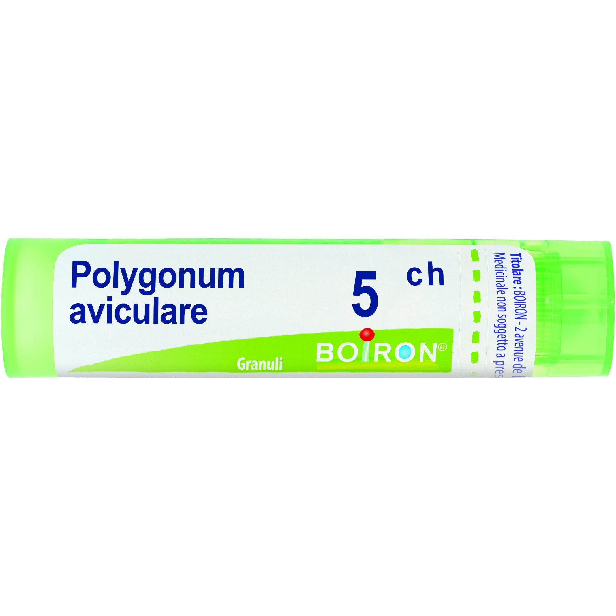 Polygonum aviculare 5ch gr