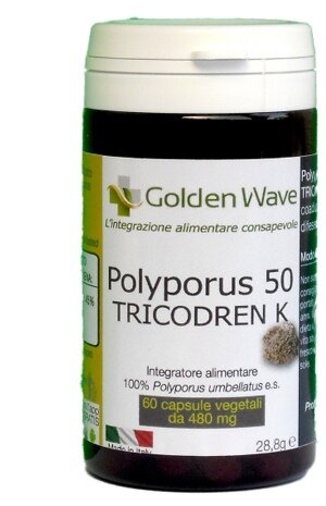 Polyporus 50 tricodren k 60 capsule