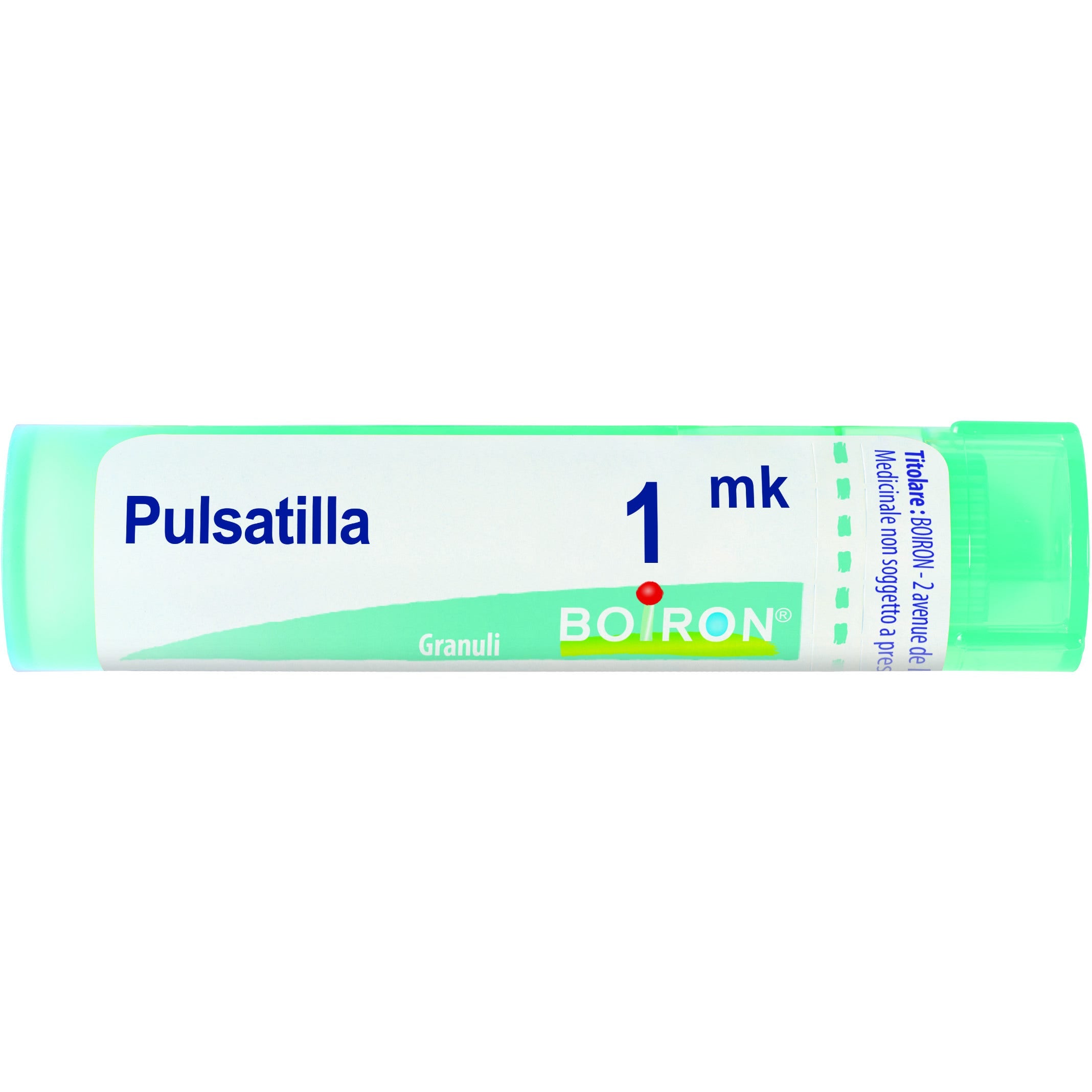 Pulsatilla boi 1000k 80gr 4g