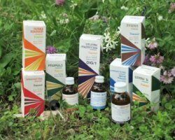 Raemil salvia macerato idroalcolico comp 50 ml
