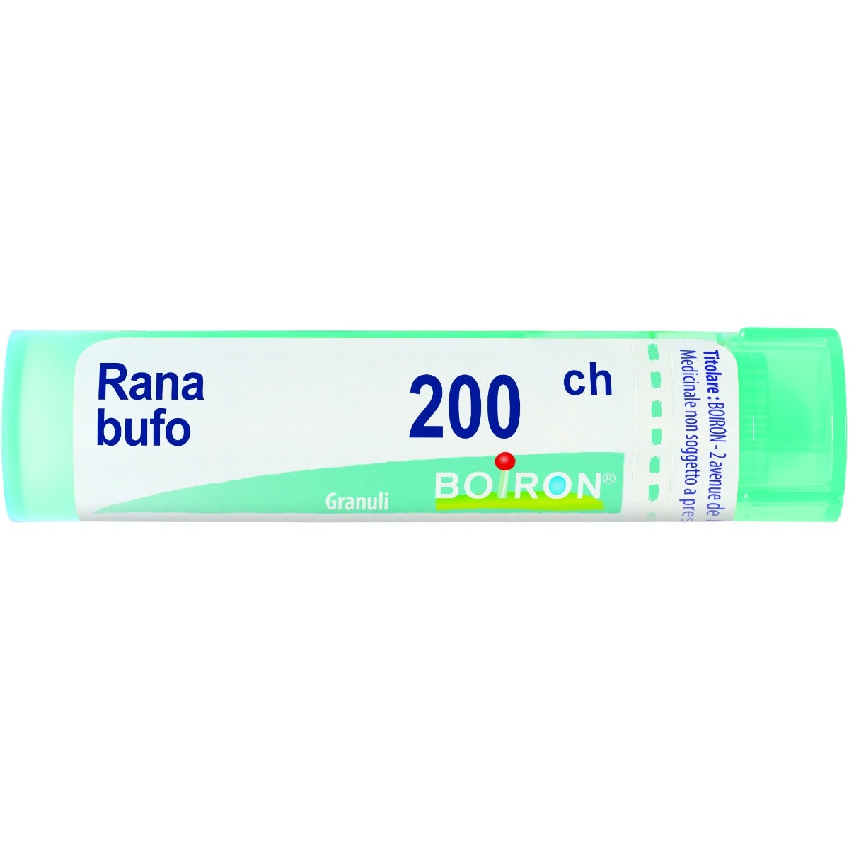 Rana bufo 200ch gr