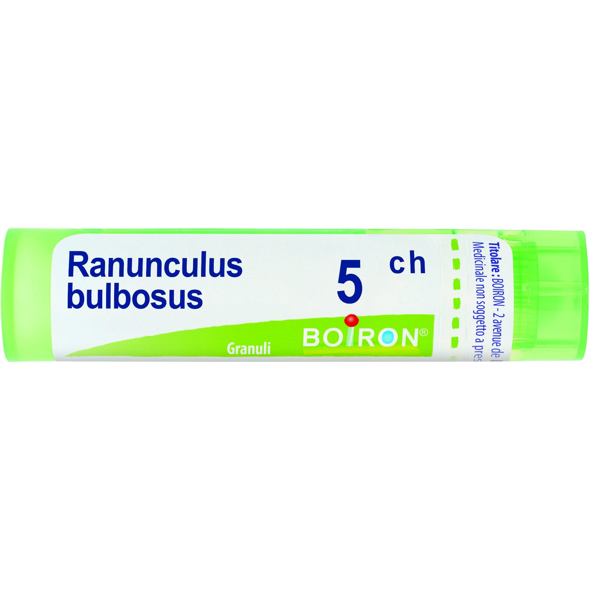 Ranunculus bulbosus 5ch gr