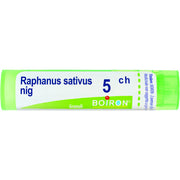 Raphanus sat boi 5ch 80gr 4g